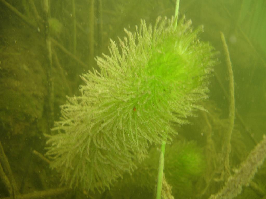 2008-06-29 11-21-45 H.JPG